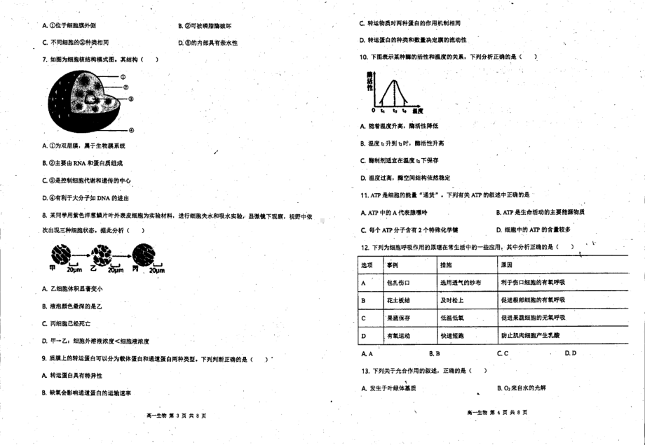 广东省韶关市武江区广东北江实验 2020-2021学年高一下学期开学考试生物试题.pdf_第2页