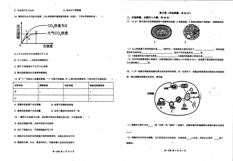 广东省韶关市武江区广东北江实验 2020-2021学年高一下学期开学考试生物试题.pdf_第3页