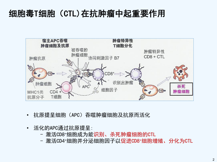 日达仙肿瘤科室会幻灯片课件.pptx_第2页