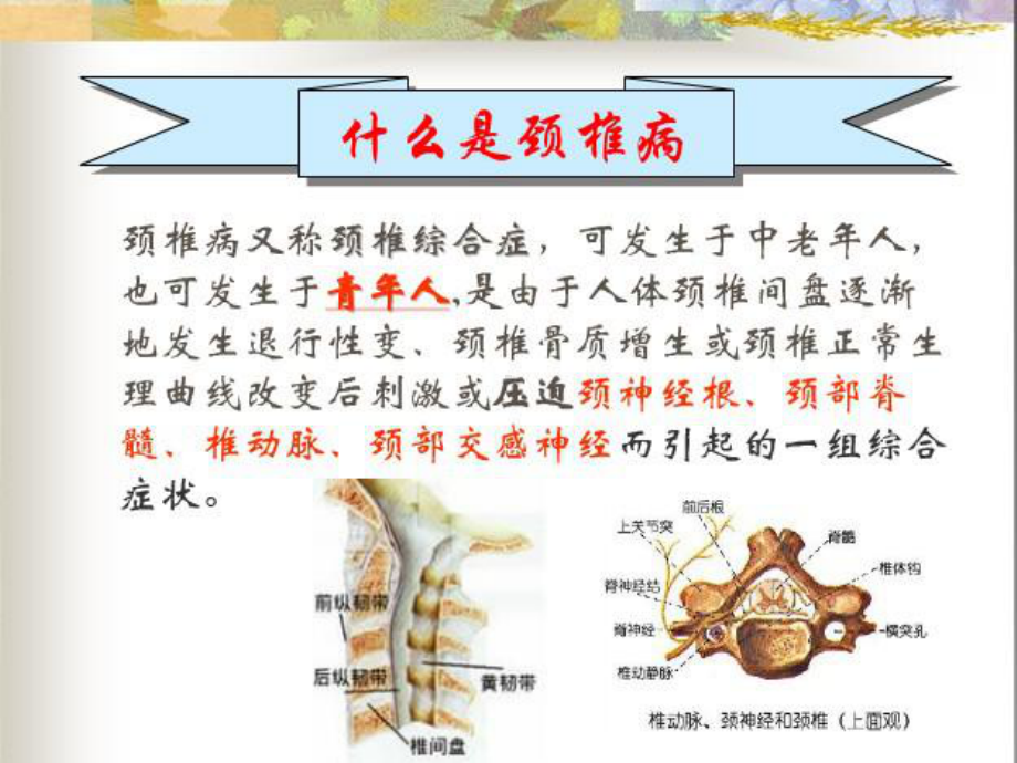 （资料）颈椎病养护汇编课件.ppt_第2页