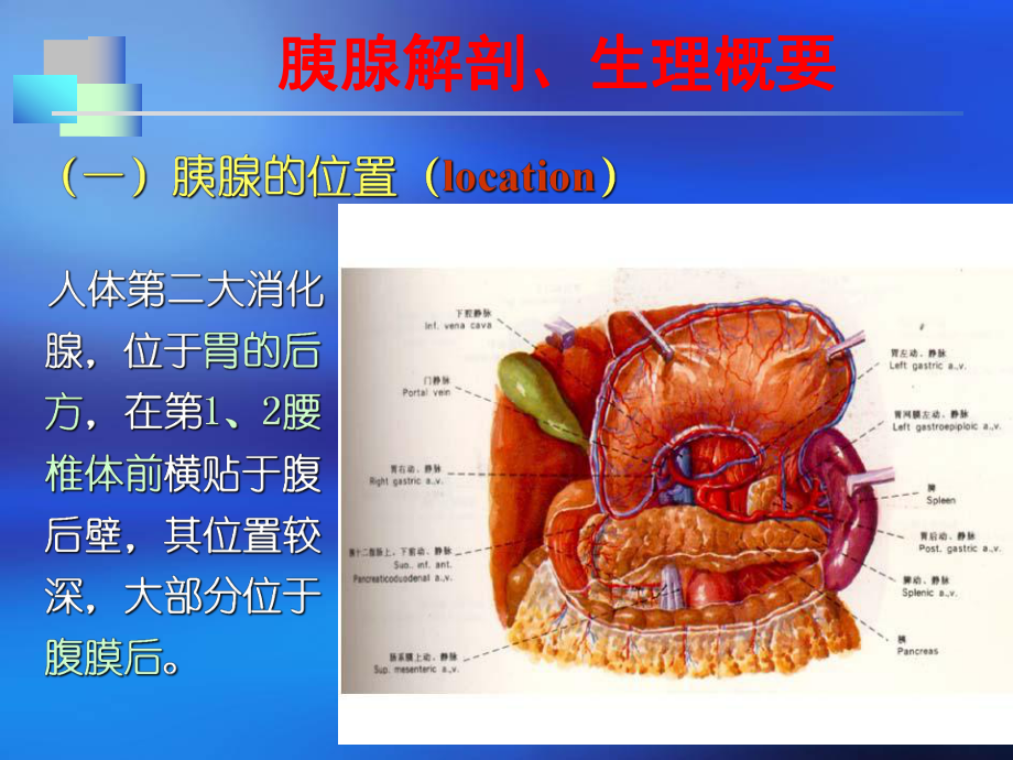 胰腺疾病病人的护理ppt课件1.ppt_第2页