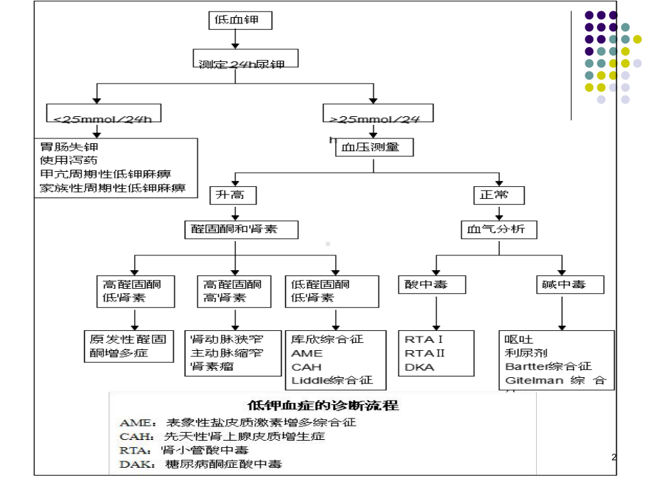 高血压低血钾鉴别PPT课件.ppt_第2页