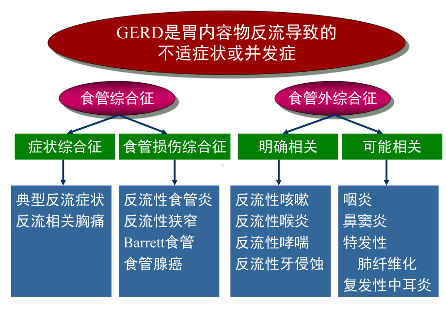 胃食管反流病治疗PPT课件.ppt_第3页