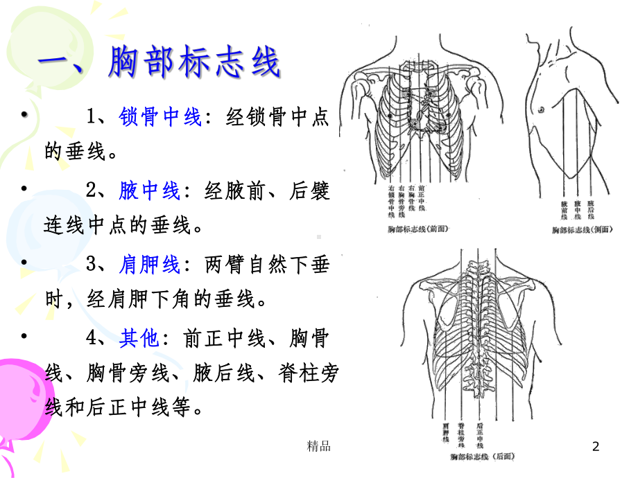 消化系统解剖1课件.ppt_第2页