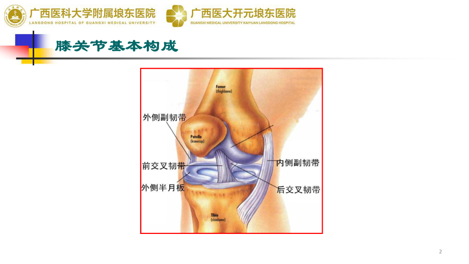 膝关节运动损伤的MRI诊断ppt课件.ppt_第2页