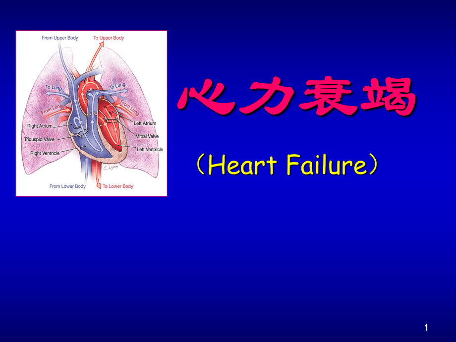 心力衰竭护理ppt课件.ppt_第1页