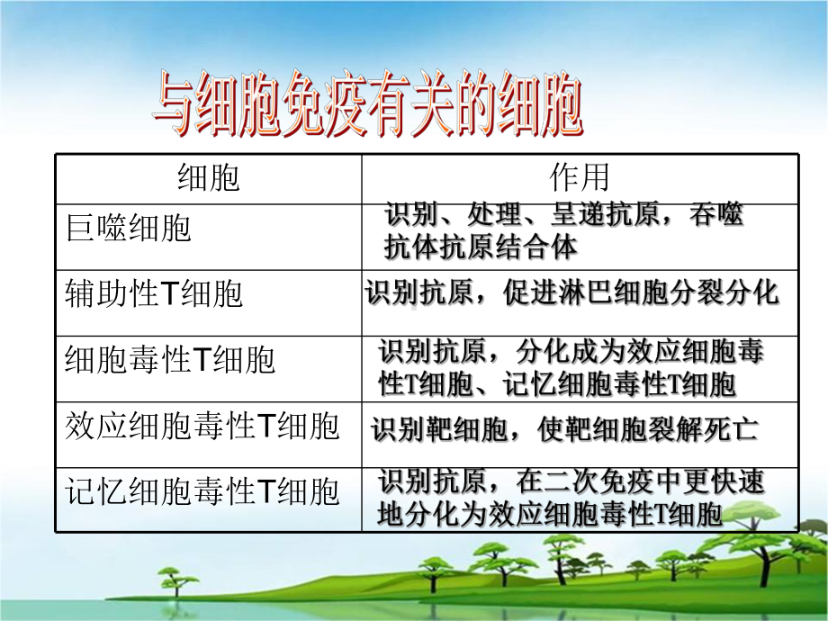 高中生物必备特异性免疫课件.ppt_第3页