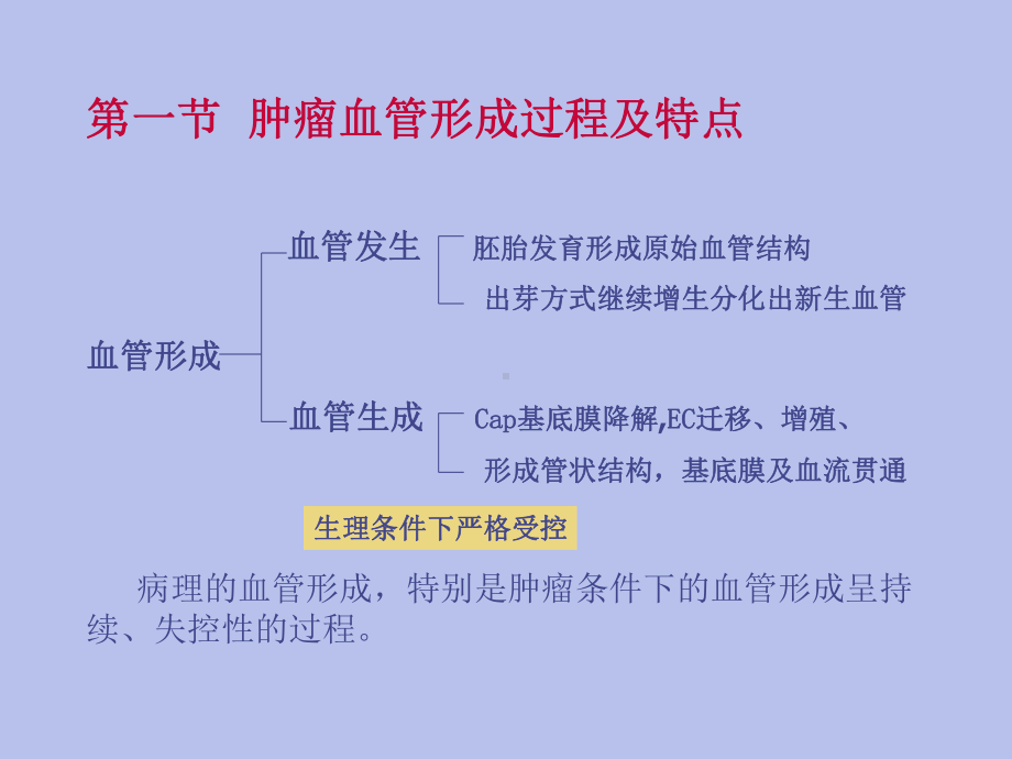 肿瘤血管PPT课件.ppt_第3页