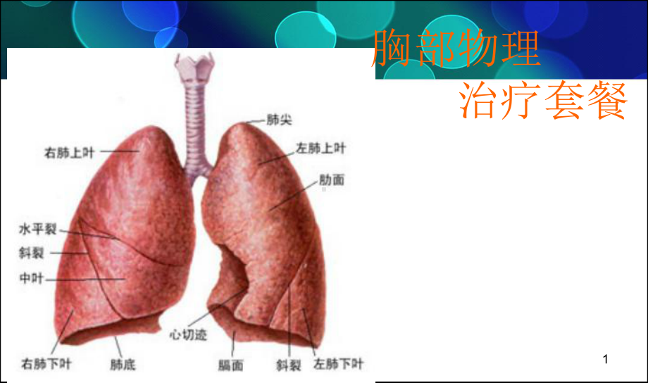 胸部物理治疗ppt课件1.ppt_第1页