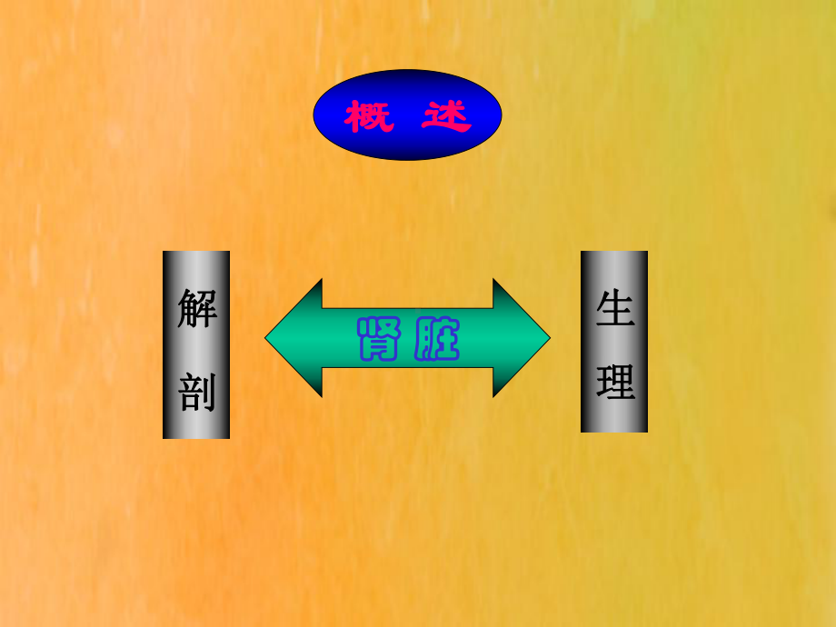 肾功能障碍患者的麻醉课件.ppt_第3页