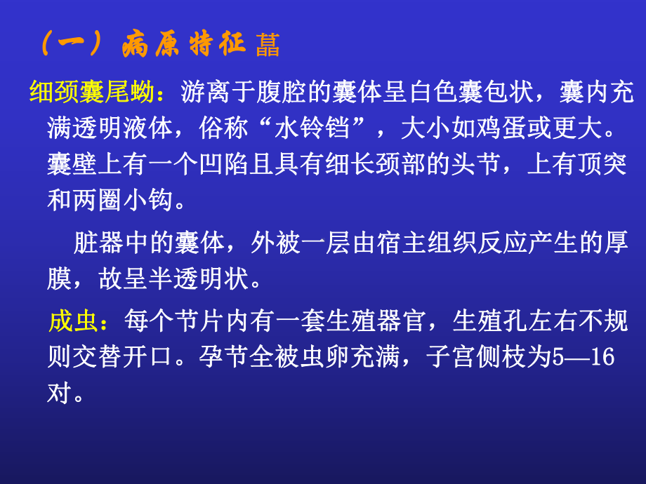 细颈囊尾蚴Cysticercustenicollis课件.ppt_第2页