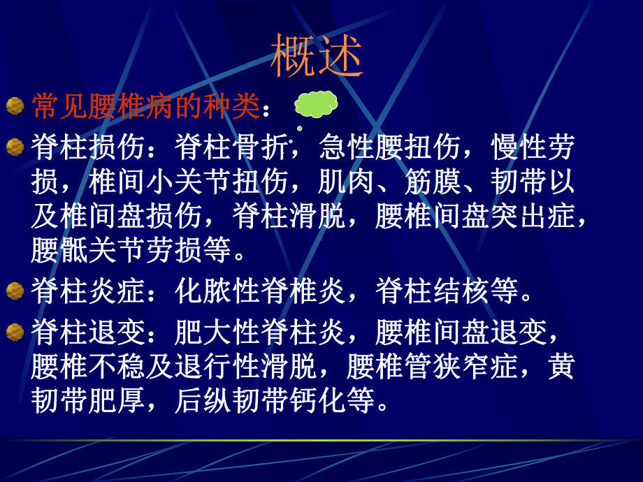 腰椎的联结结构腰椎间盘课件.ppt_第3页