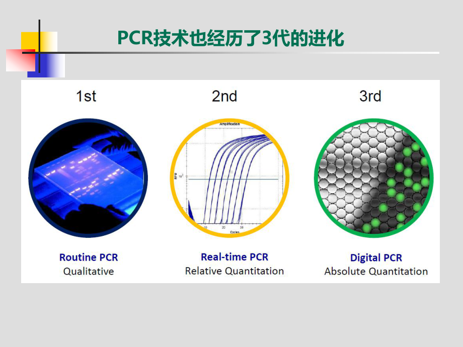 新分子检测技术在肺癌精准治疗中的应用NGS-vs课件.pptx_第3页