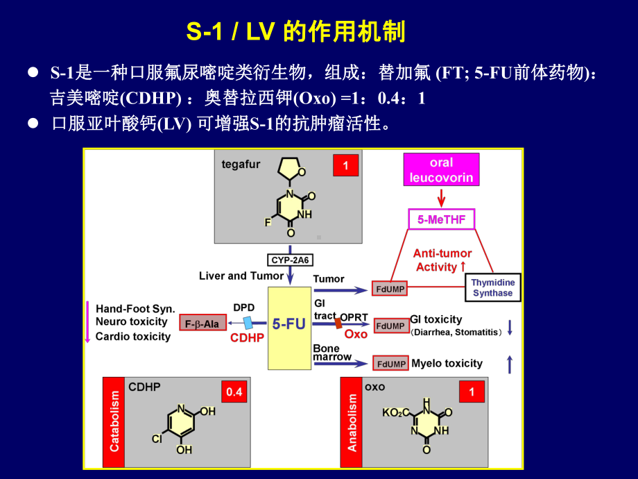 S1治疗胃癌的国外进展课件.ppt_第3页