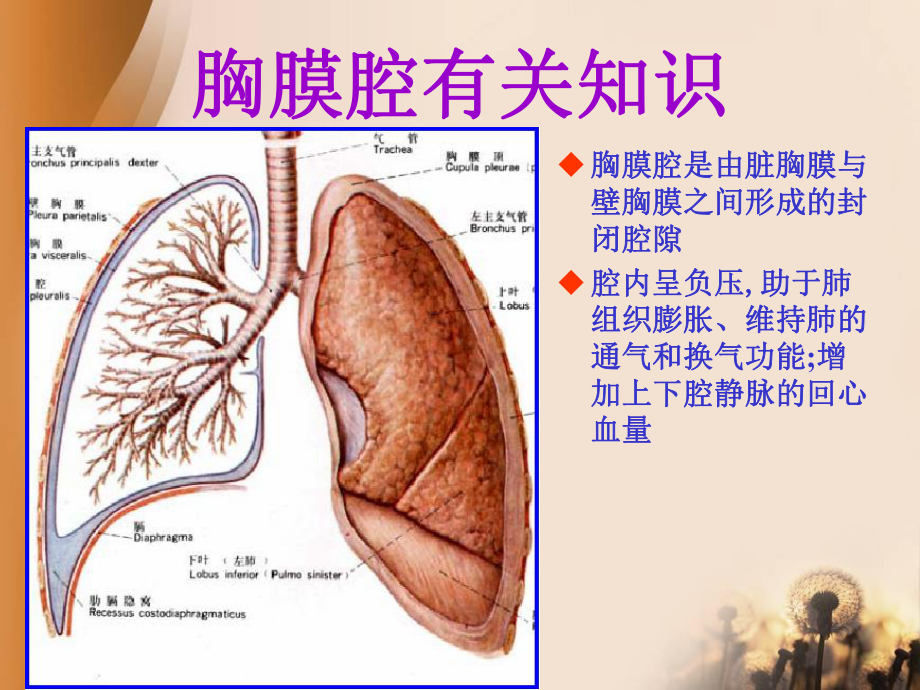 最新内科胸腔闭式引流术主题讲座课件.ppt_第1页