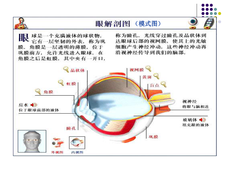 糖尿病和高血压眼底检查课件.ppt_第2页