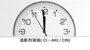 造影剂肾病(-CI-AKI-CIN)--PP课件.pptx