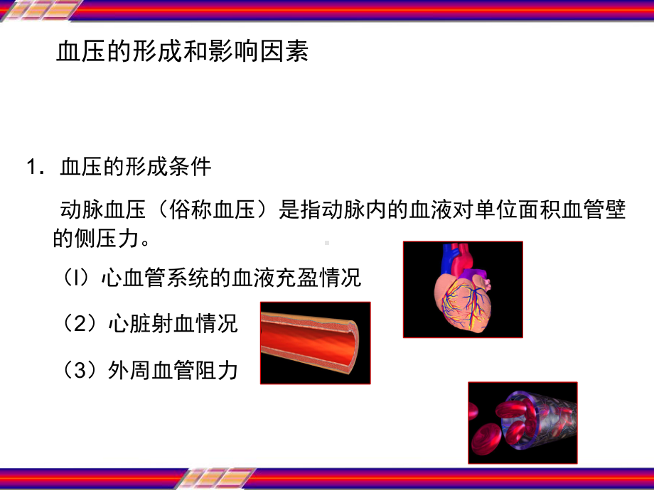 高血压的发病机制-PPT课件.pptx_第3页