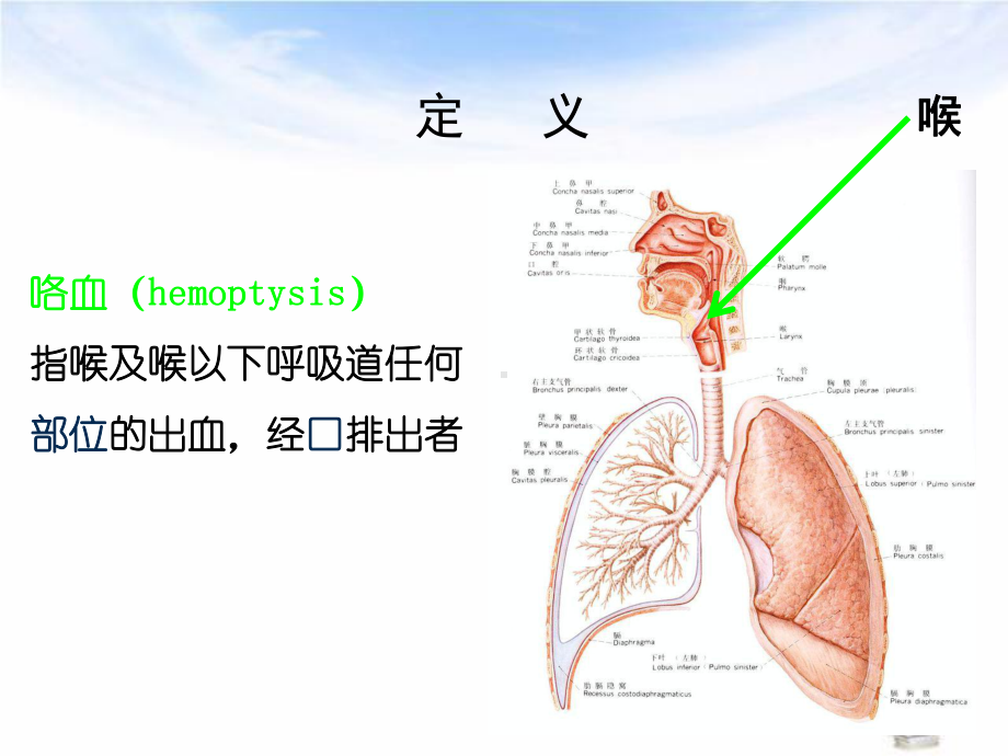 咯血的诊疗和处置讲义课件.ppt_第2页