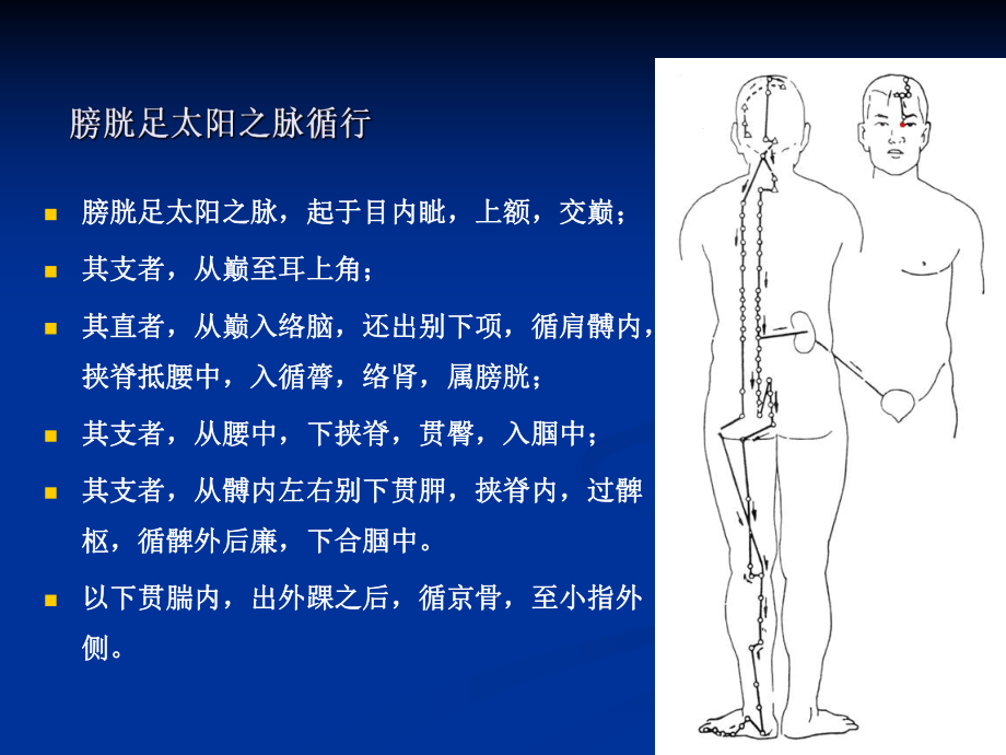 09足太阳膀胱经-图文课件.ppt_第3页