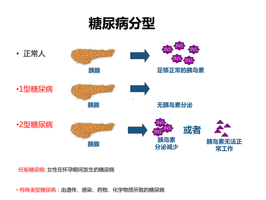 糖尿病健康教育完整版本课件.ppt_第3页