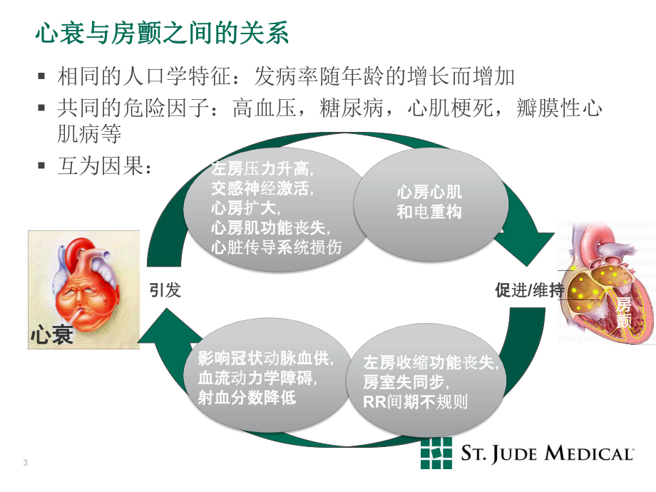 心力衰竭合并心房颤动CR与射频消融携手应对PPT课件.pptx_第3页