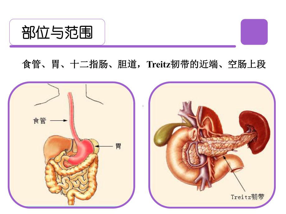 上消化道出血的护理课件.pptx_第2页