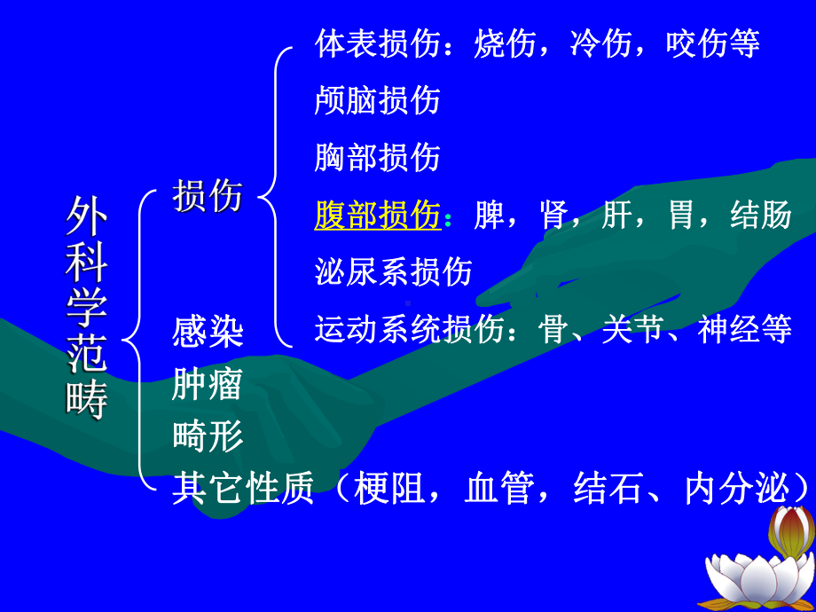 腹部损伤诊断及处理课件.pptx_第2页