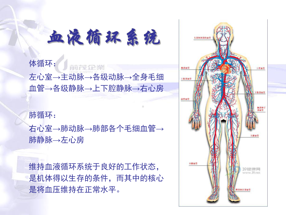 主动脉内球囊反搏泵课件.pptx_第3页