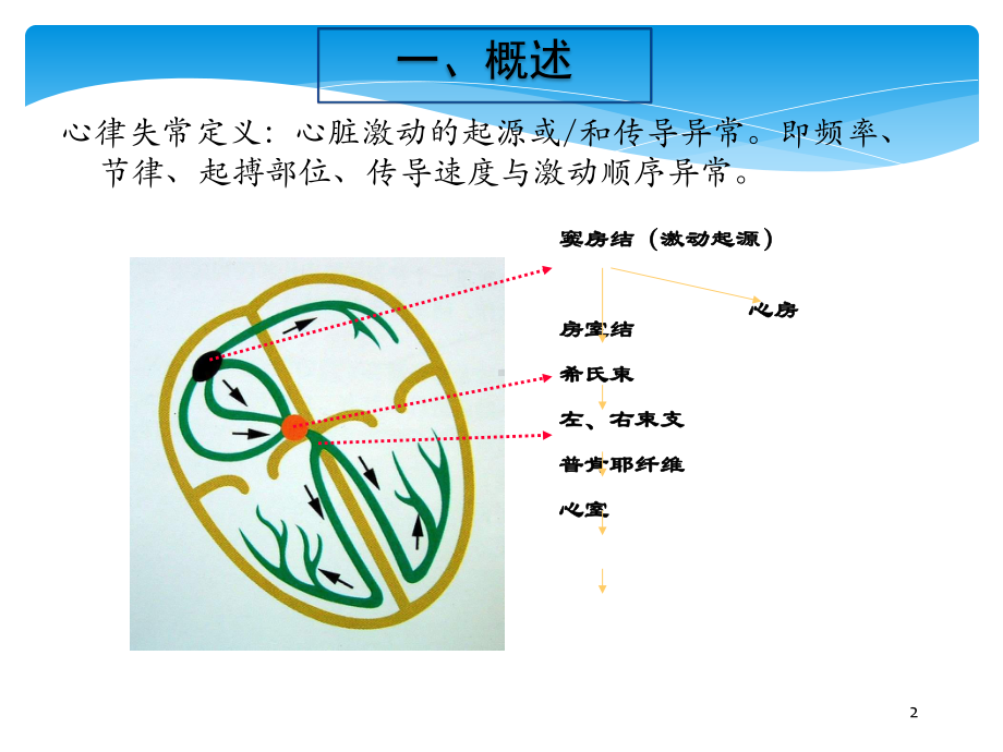 心律失常心电图分析课件.pptx_第2页