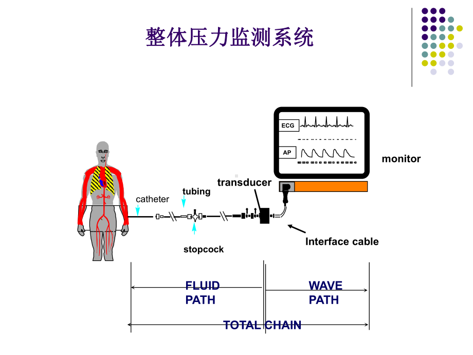 有创动脉压力监测精品课件.ppt_第3页