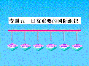 政治全程复习方略专题五日益重要的国际组织(选修3)课件.ppt