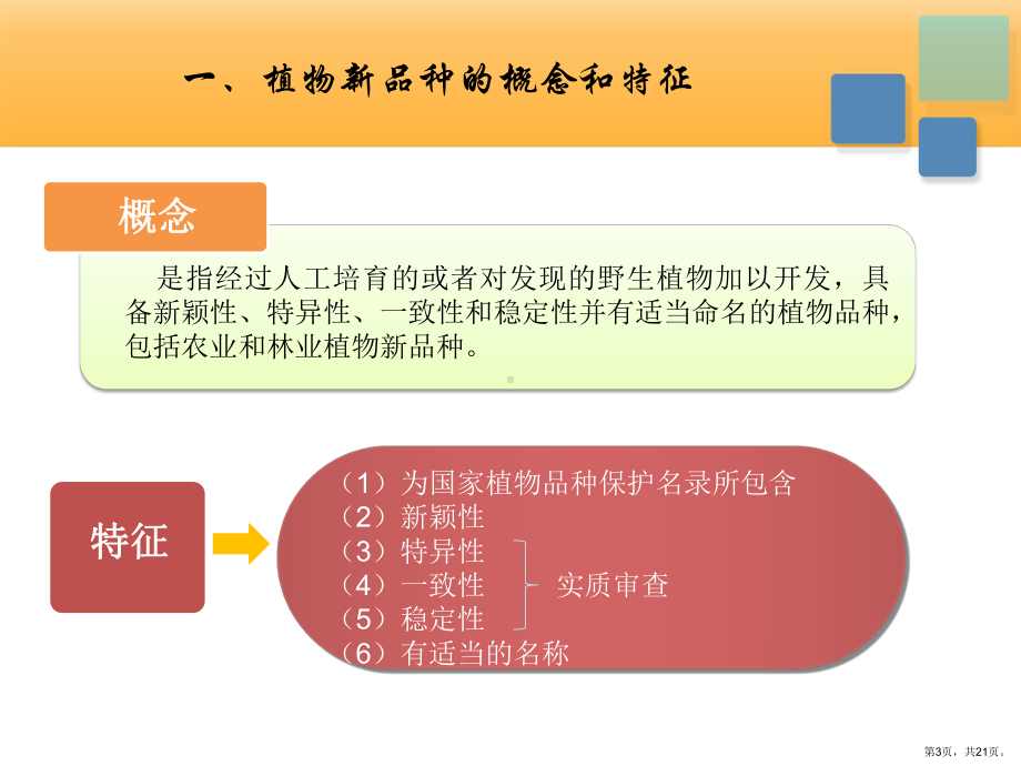 植物新品种课件.pptx_第3页