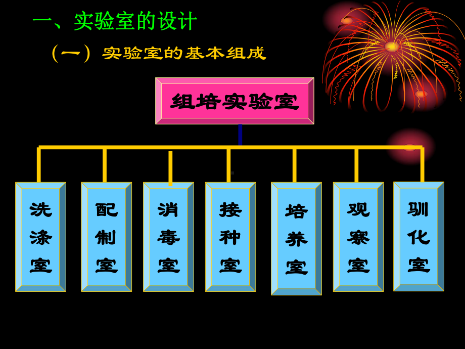 实验室及培育苗工厂的设计教材(61张幻灯片)课件.ppt_第3页