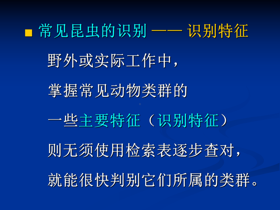 昆虫重要的目pp课件.ppt_第2页