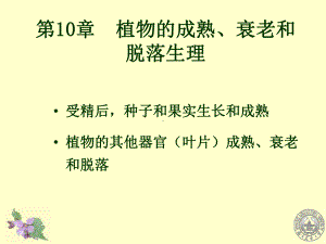 植物生理学第十章植物的成熟、衰老和脱落生理课件.ppt