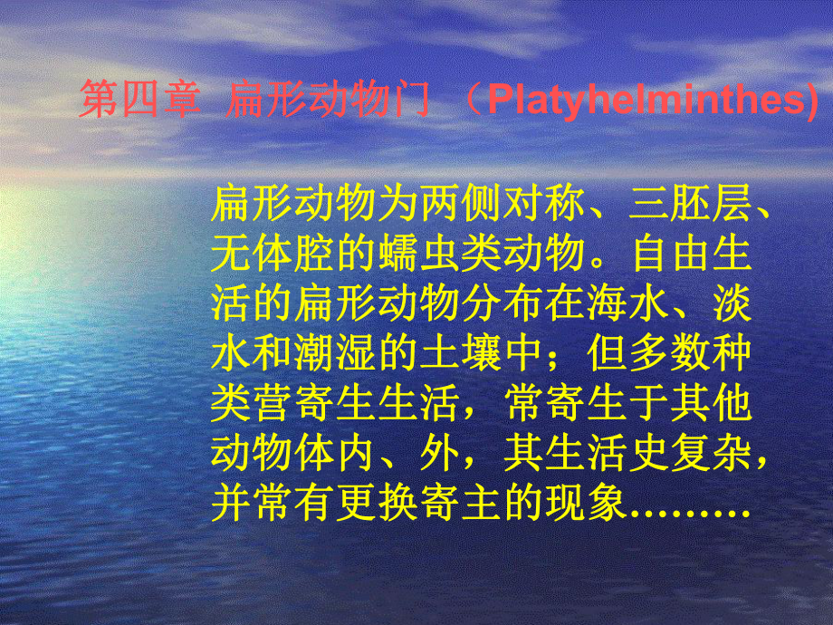 扁形动物门解析课件.ppt_第1页