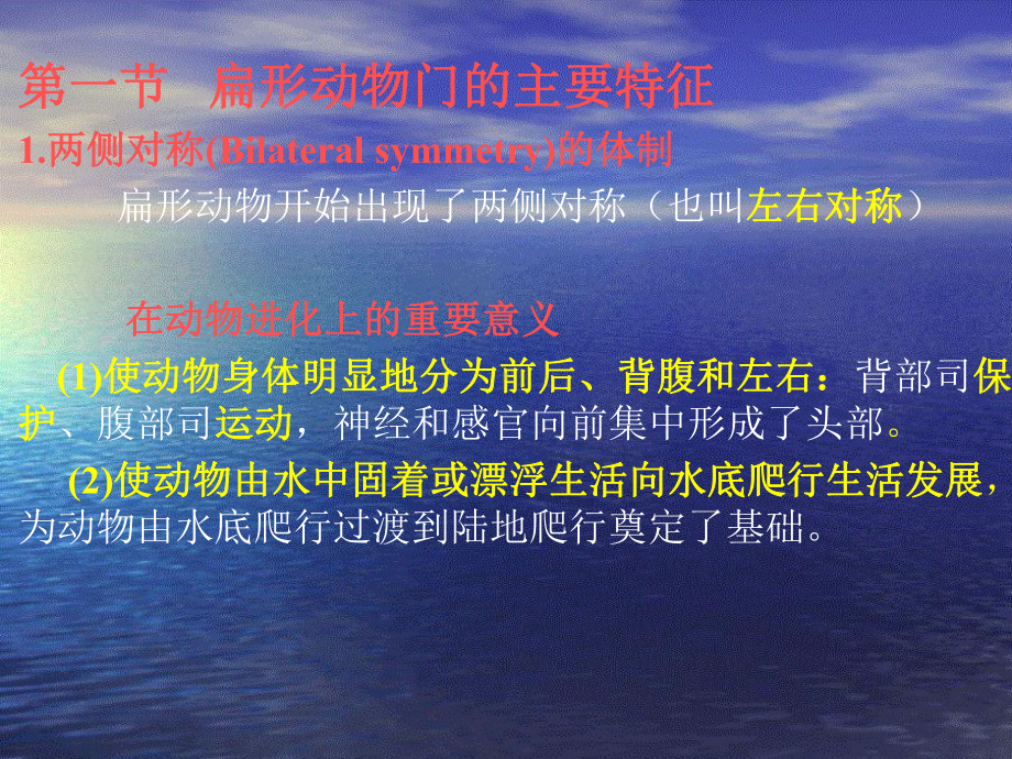 扁形动物门解析课件.ppt_第2页