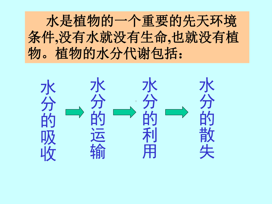 植物的水分代谢机制课件.ppt_第3页