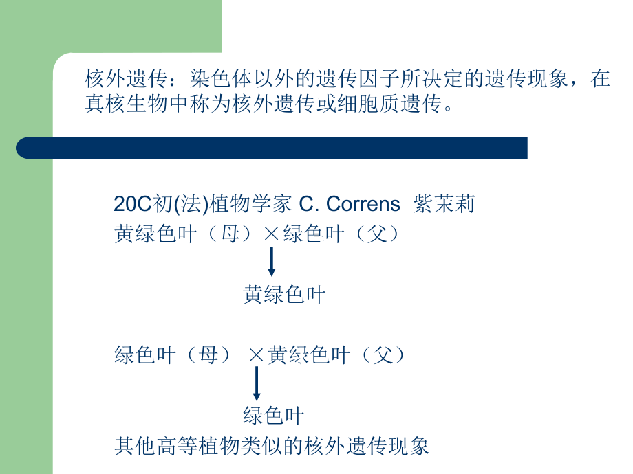 核外遗传学改课件.ppt_第2页