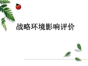 战略环境影响评价精选课件.ppt