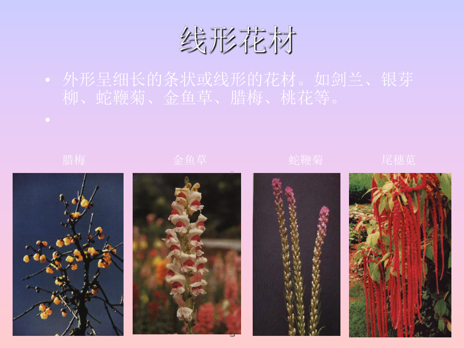 插花艺术的步骤技巧和方法课件.ppt_第3页