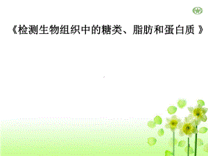 检测生物组织中的糖类、脂肪和蛋白质-说课课件.ppt