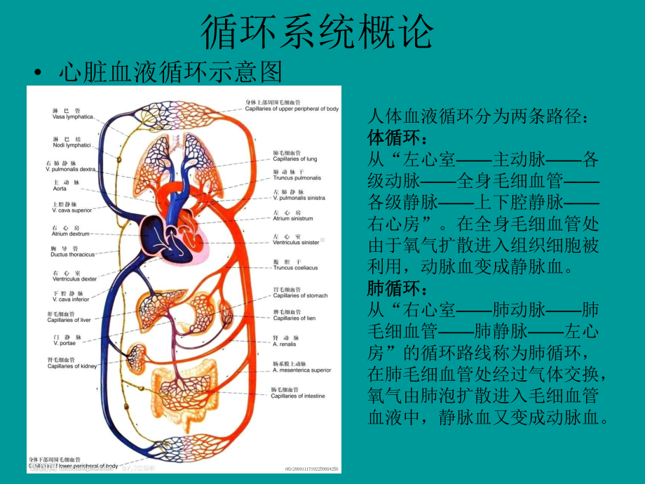 心脏瓣膜置换术后重症监护要点课件.ppt_第2页