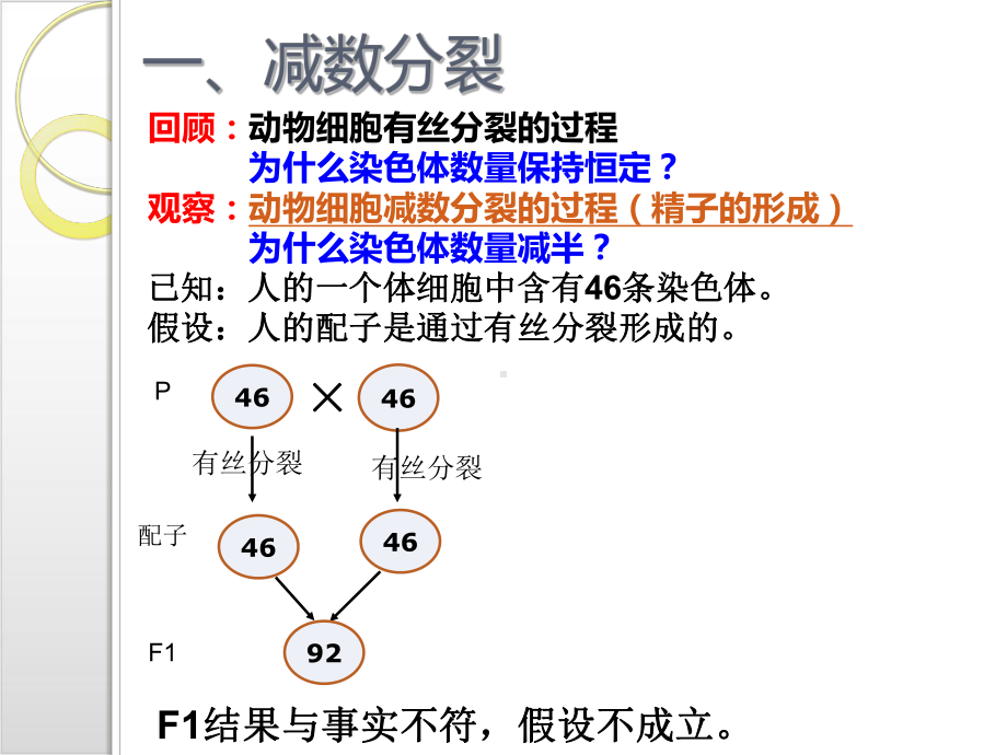 新教材《减数分裂和受精作用》PPT优秀课件人教版1.ppt_第3页