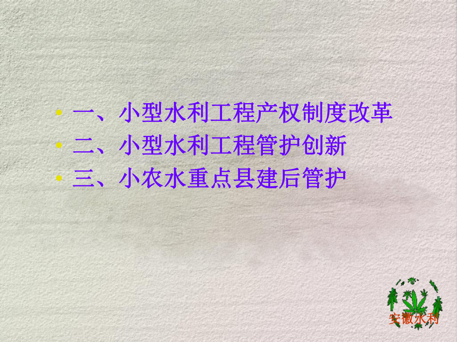 安徽小型水利工程产权制度改革及管理创新情况格式课件.ppt_第2页