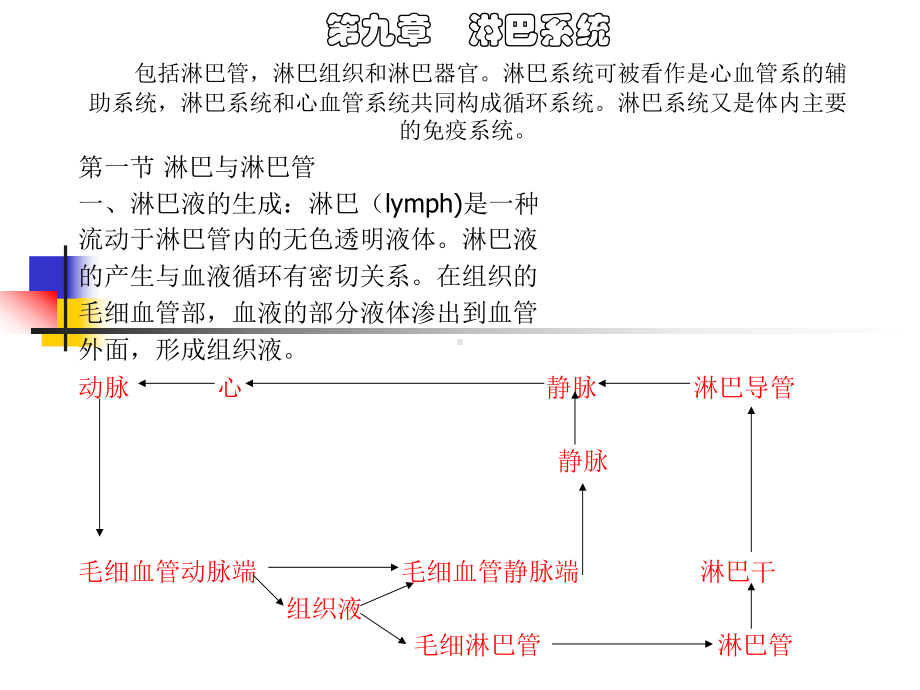 家畜解剖生理第九章淋巴系统课件.ppt_第1页