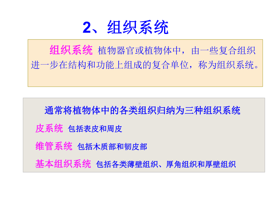 植物复合组织与组织系统课件.ppt_第3页