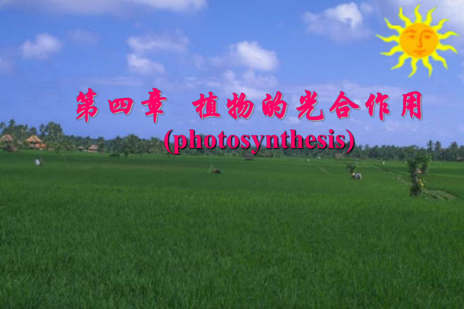 植物生理学教学第四章植物的光合作用课件.ppt_第1页