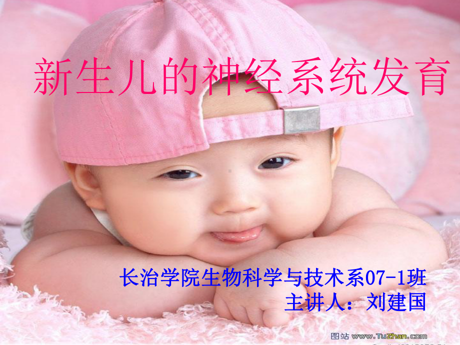 新生儿的神经系统发育课件.ppt_第1页